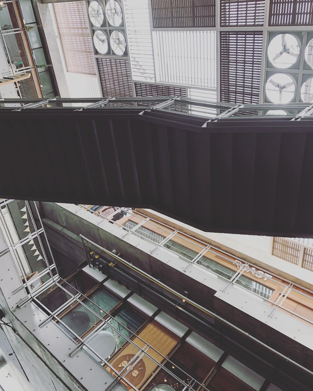 15875591_10210666347991468_2557231032876823680_o